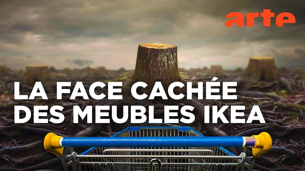 IKEA : 20 millions de m³ de bois par an, l’enquête qui accuse de greenwashing