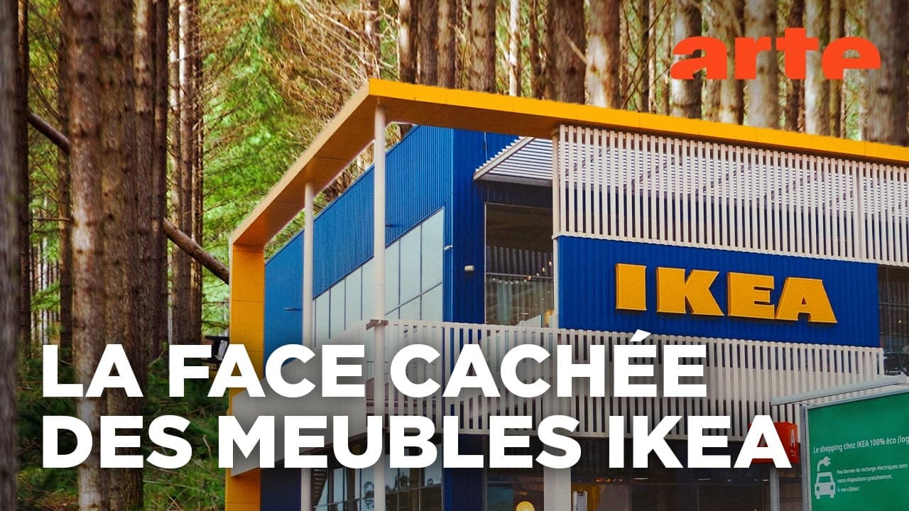 IKEA : 20 millions de m³ de bois par an, l’enquête qui accuse de greenwashing