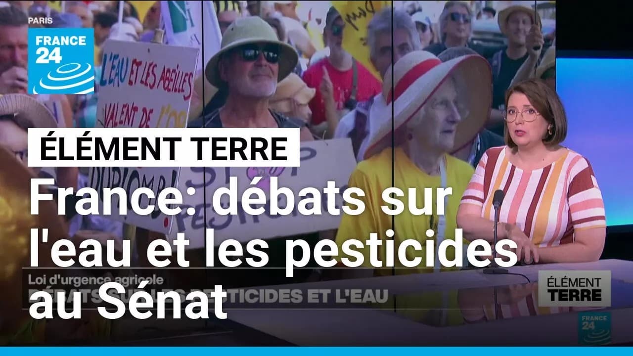 Pesticides interdits : Laurent Duplomb récidive, le Sénat défie la censure
