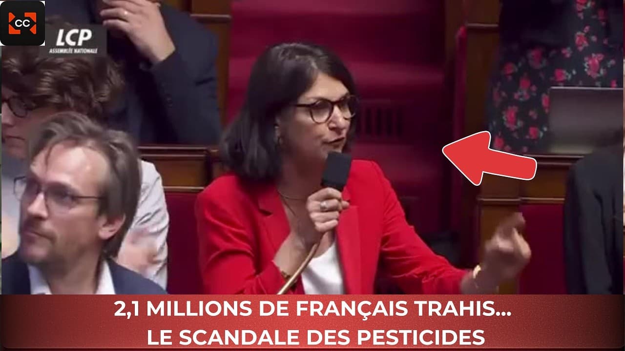 Pesticides neurotoxiques : le gouvernement accusé de les réautoriser en force