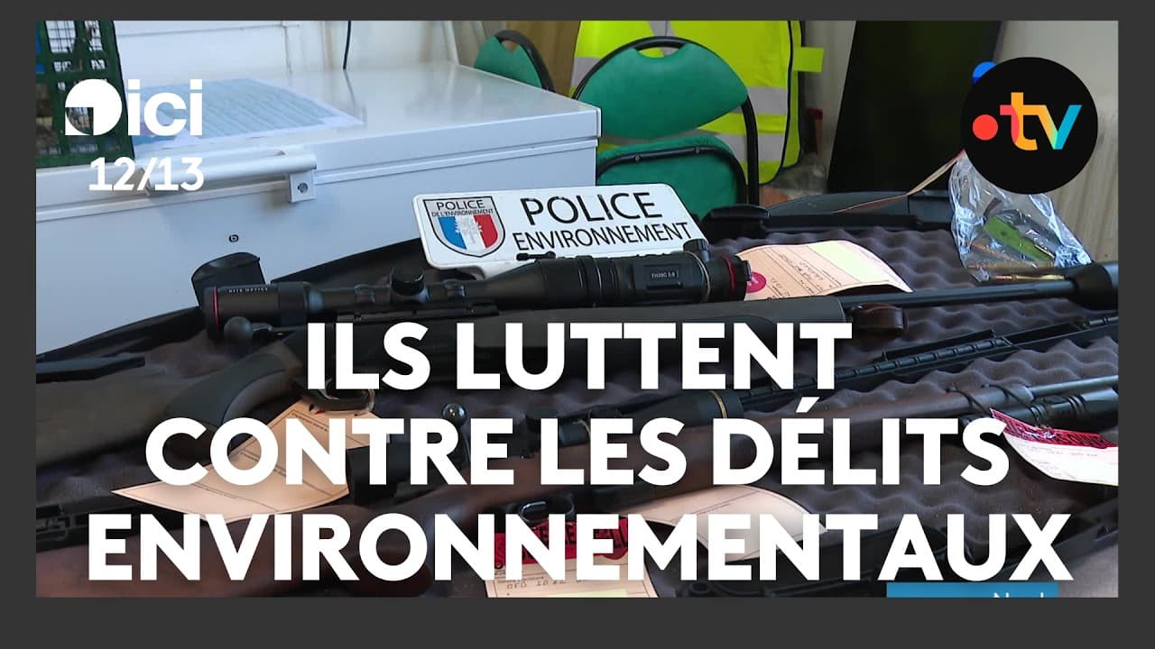 OFB: 250 procédures, 0 résultat — le scandale de l’environnement dans le Pas-de-Calais