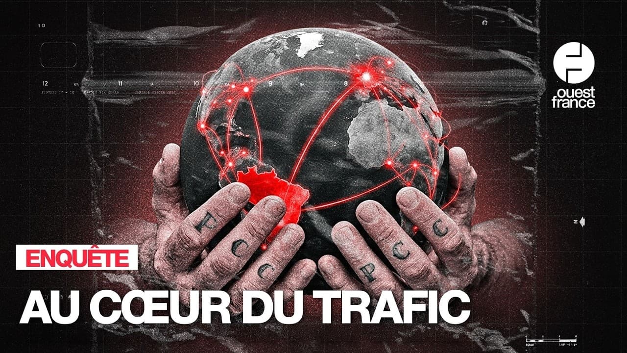 PCC : la fraternité criminelle qui inonde la France de cocaïne