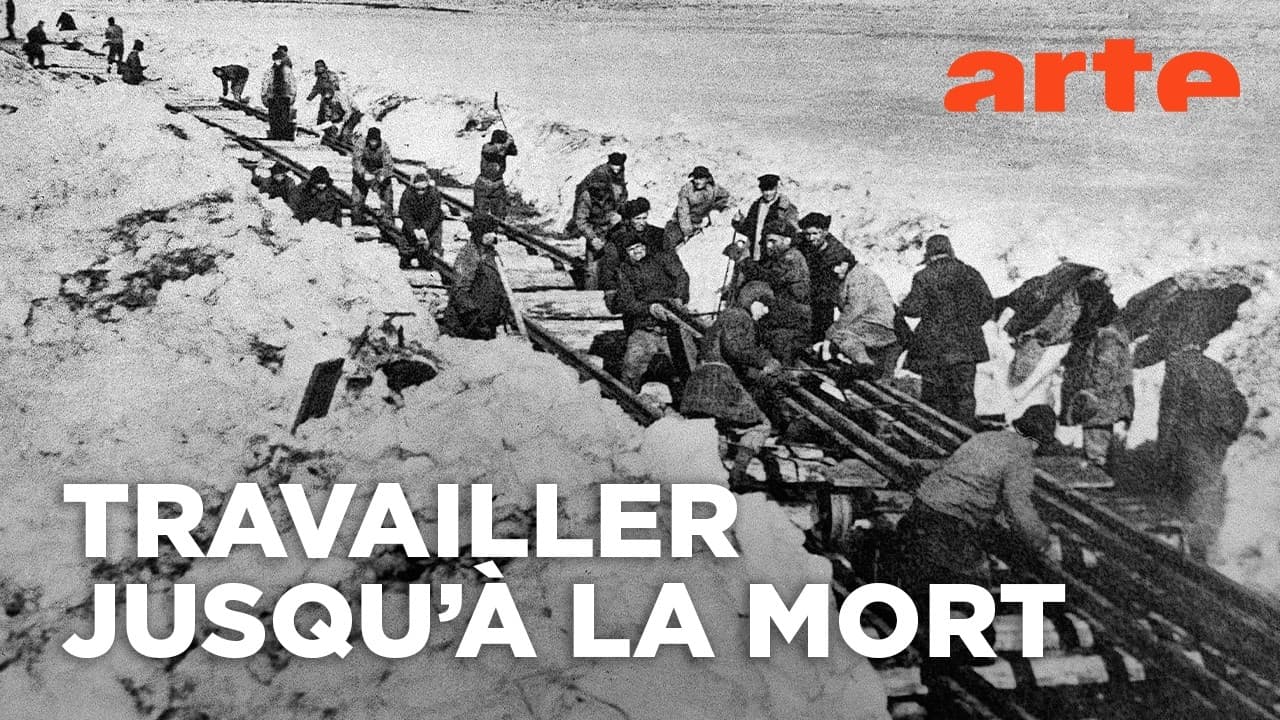 Goulag : l'horreur systématique du régime soviétique révélée par ses survivants