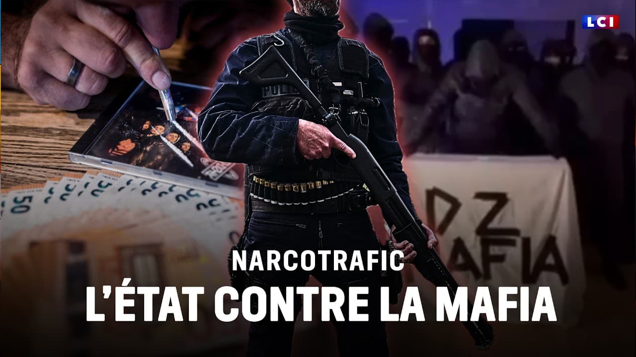DZ Mafia : opération Octopus, l'État frappe mais la guerre du narcotrafic reste totale