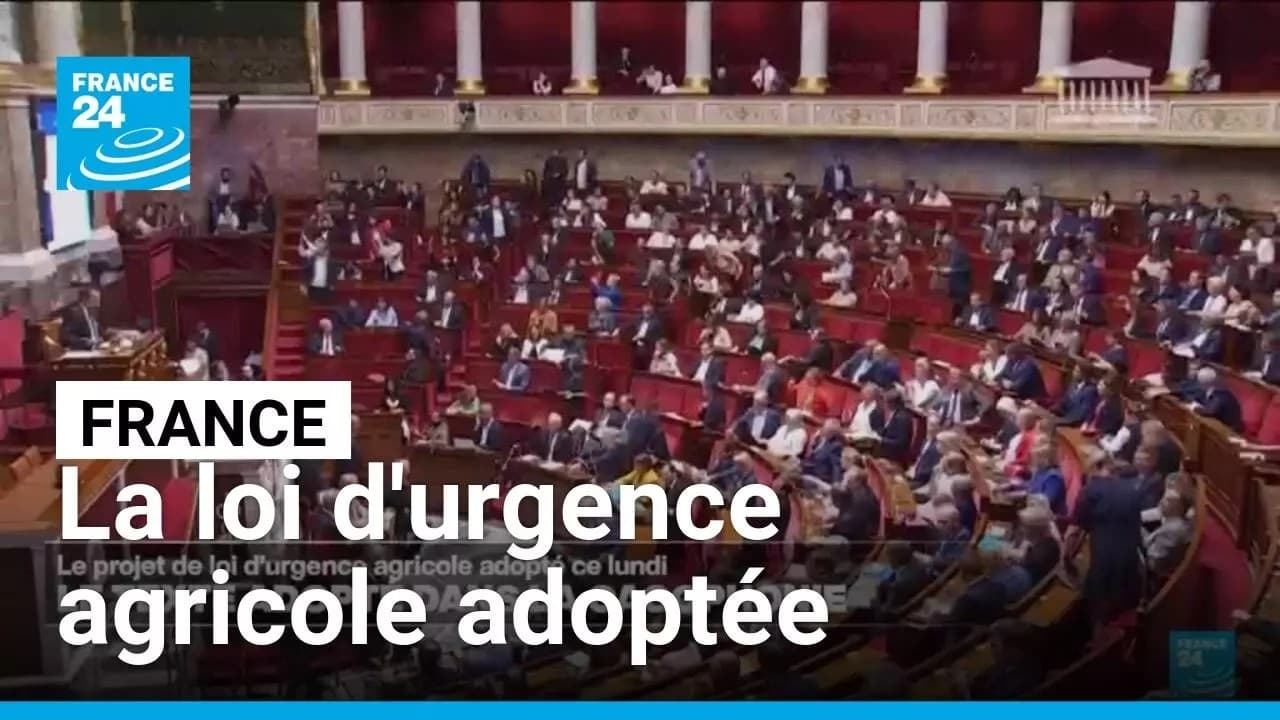 Loi agricole : pesticides interdits de retour, la ministre de l'Écologie menace de démissionner