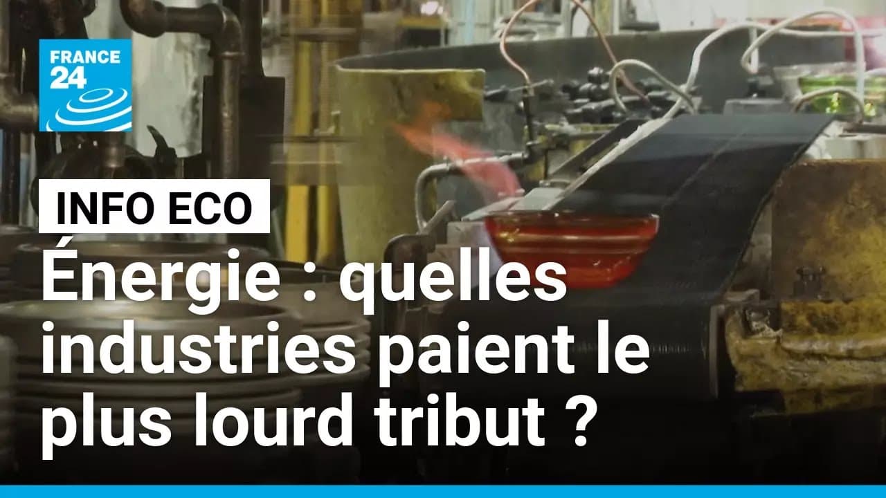Crise énergétique : Air France et les industries françaises sous pression