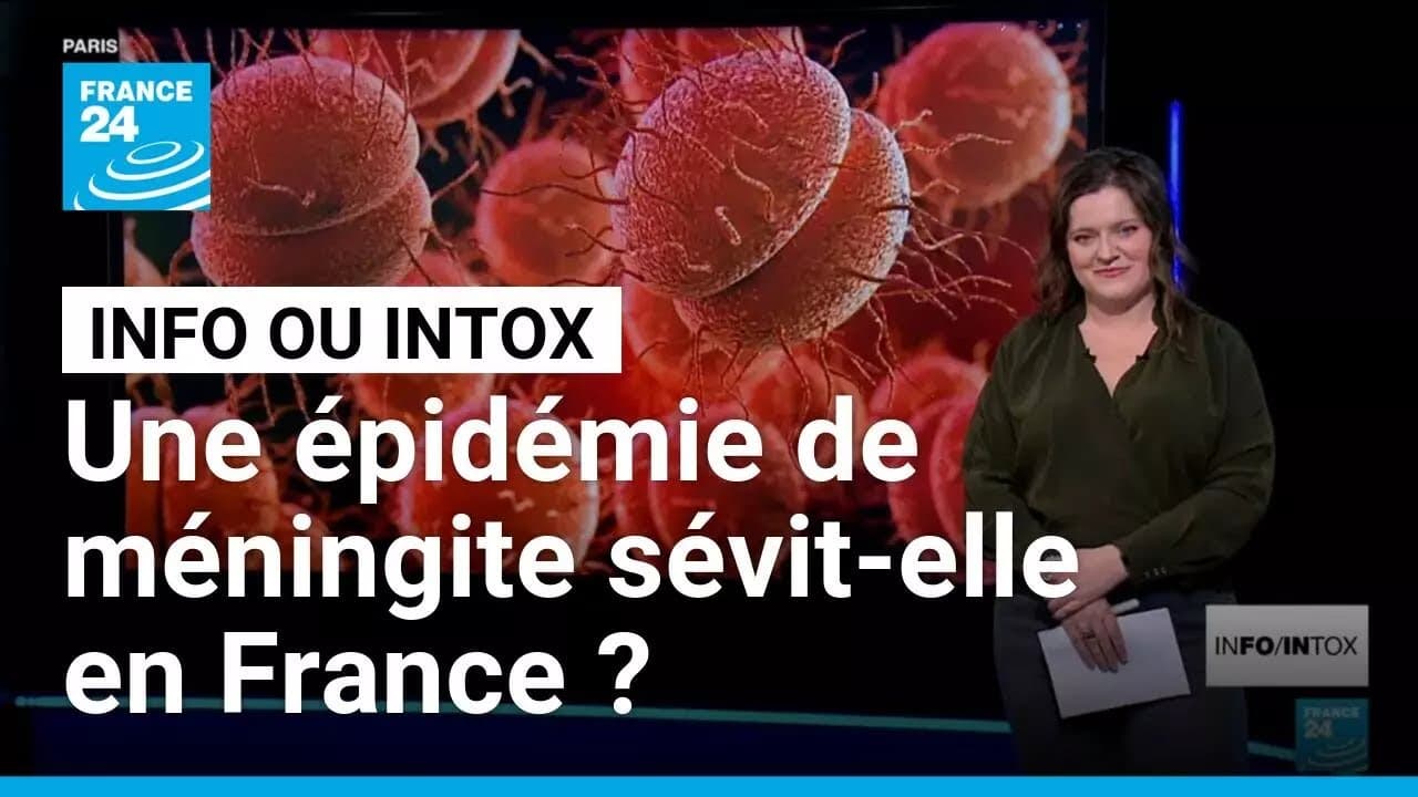 Méningite en France : les autorités mentent-elles face à la menace britannique ?