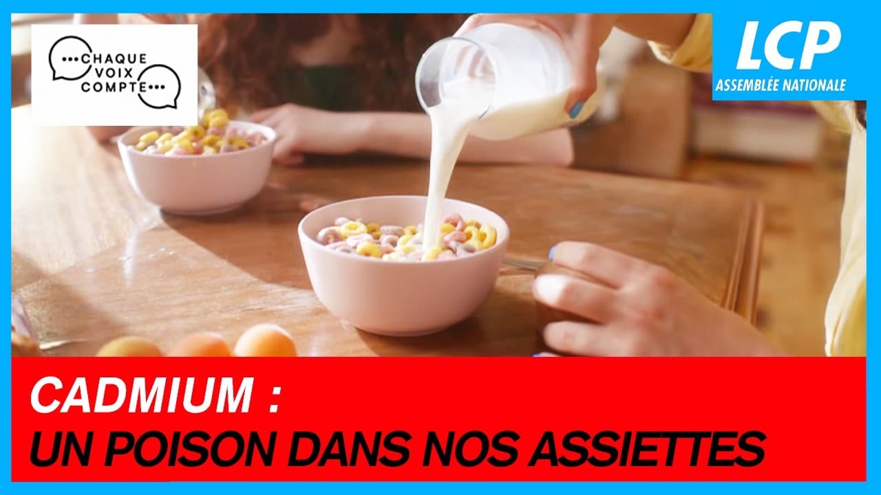 Le cadmium empoisonne nos assiettes : scandale sanitaire et impuissance politique