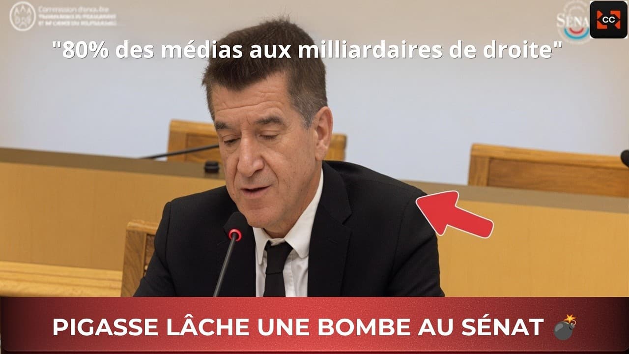 Pigas : '5 à 6 milliardaires conservateurs contrôlent 90% des médias français