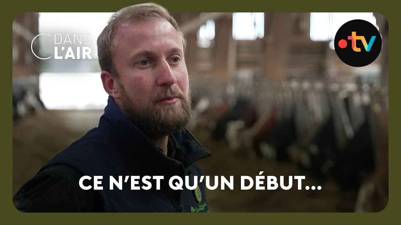 Yaourt français : l'inflation qui étrangle la ferme Grégoire, centime par centime
