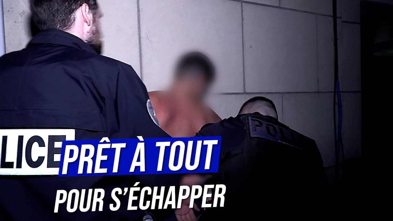 Refus d'obtempérer : 27 000 fuites par an, la panique sur les routes